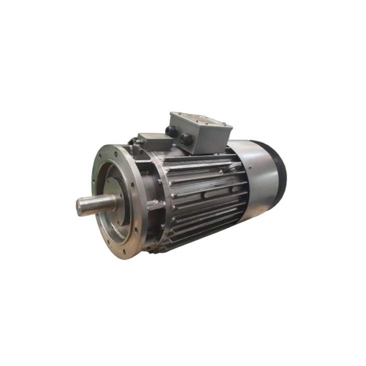 ZDH06-13 Motor de corrente contínua 13kw 220V Ip54